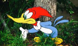 Featured image of post woody_woodpacker: a XOR binary packer