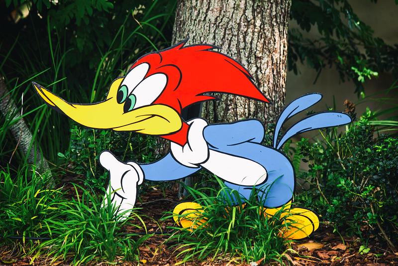 Featured image of post woody_woodpacker: a XOR binary packer